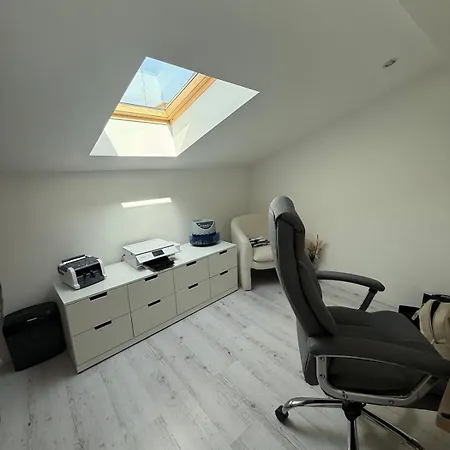 Chaleureux Duplex A Roanne