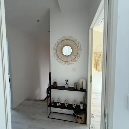 Apartment Chaleureux Duplex A Roanne