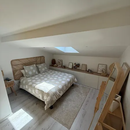 Chaleureux Duplex A Roanne