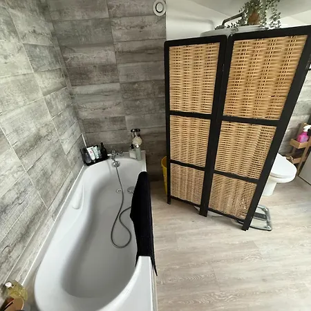 Chaleureux Duplex A Roanne