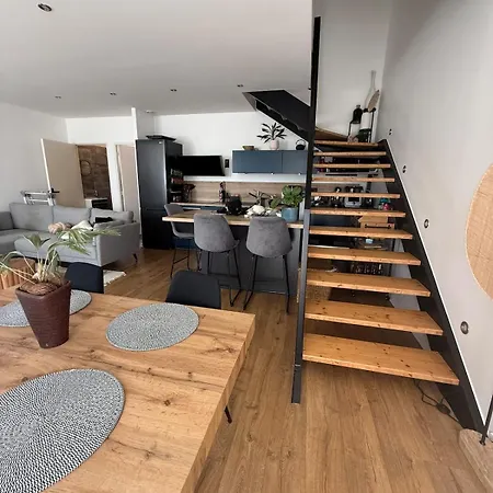 Chaleureux Duplex A Roanne