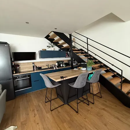 Chaleureux Duplex A Apartment *