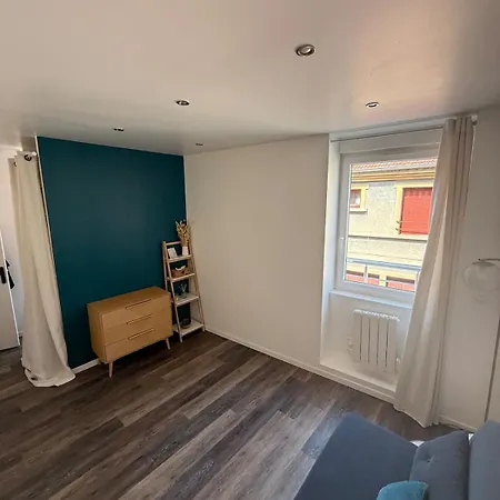 Apartment Chaleureux Duplex A Roanne