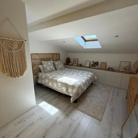 Chaleureux Duplex A Roanne